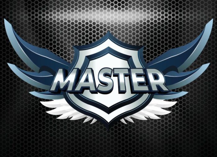 The Numerology Mastery Institute